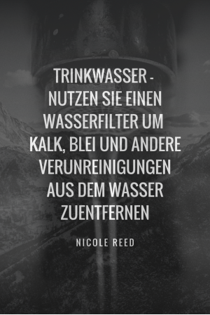 Reinigen Sie Ihr Trinkwasser mit einem Wasserfilter von Verunreinigungen wie Kalk, Blei und anderen Stoffen